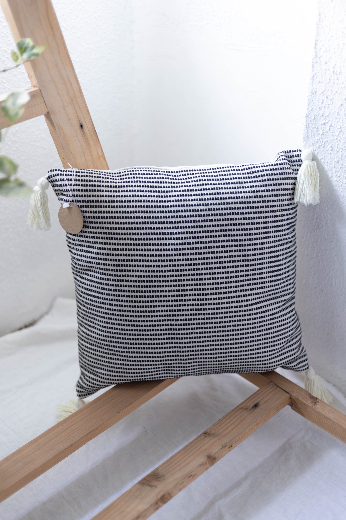 Filled Cushion