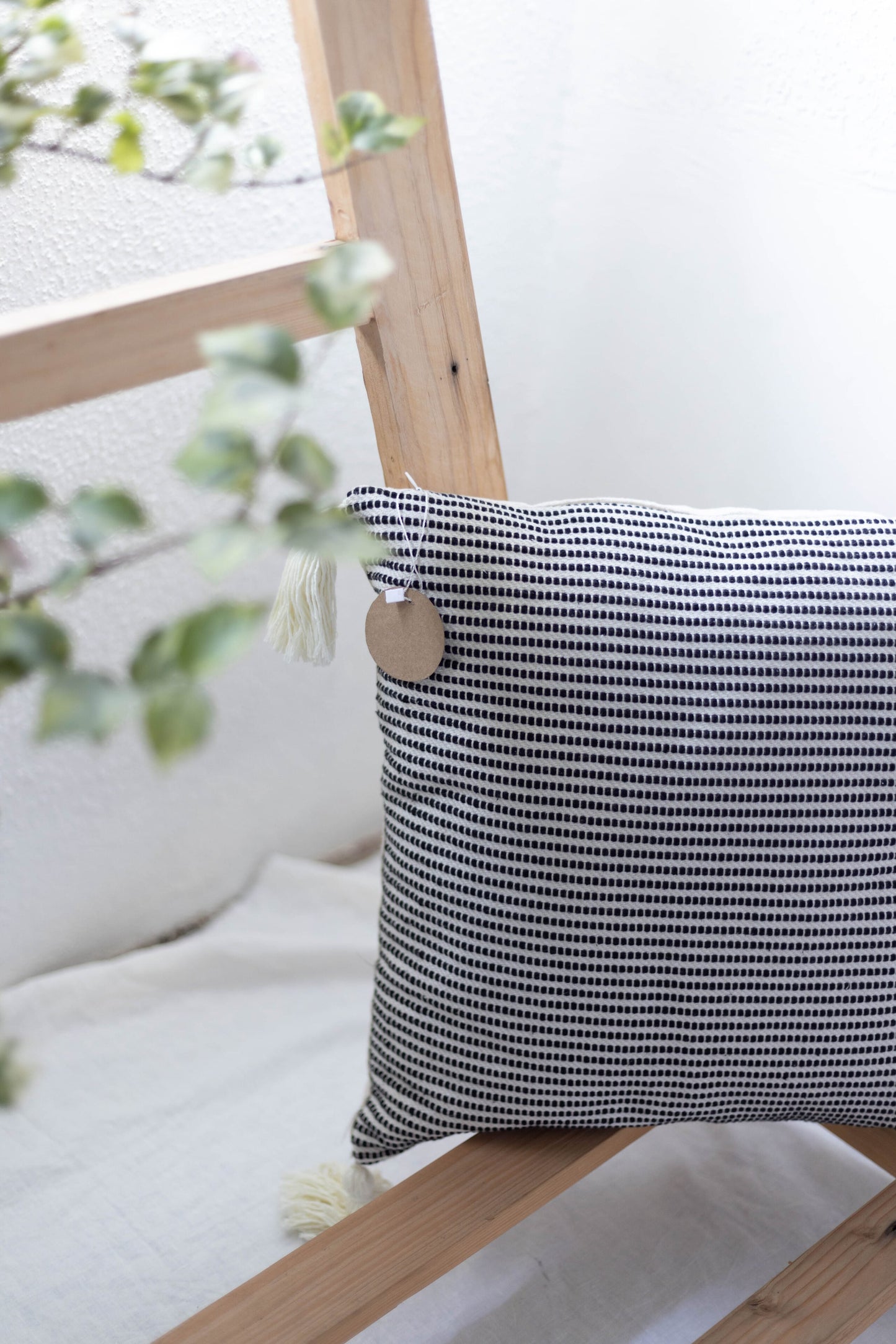 Filled Cushion