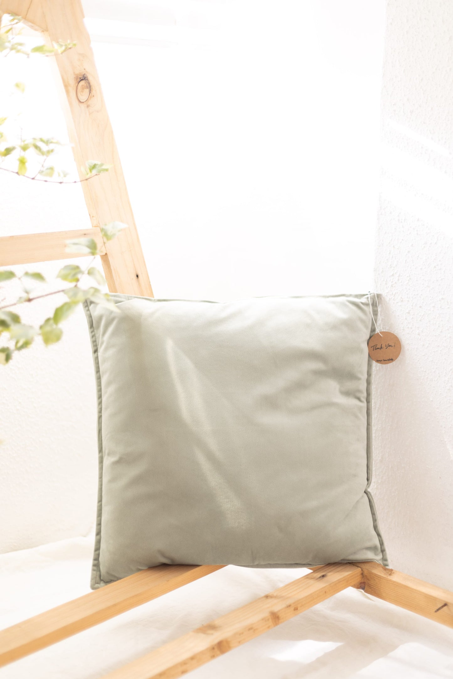 Velvet Cushion