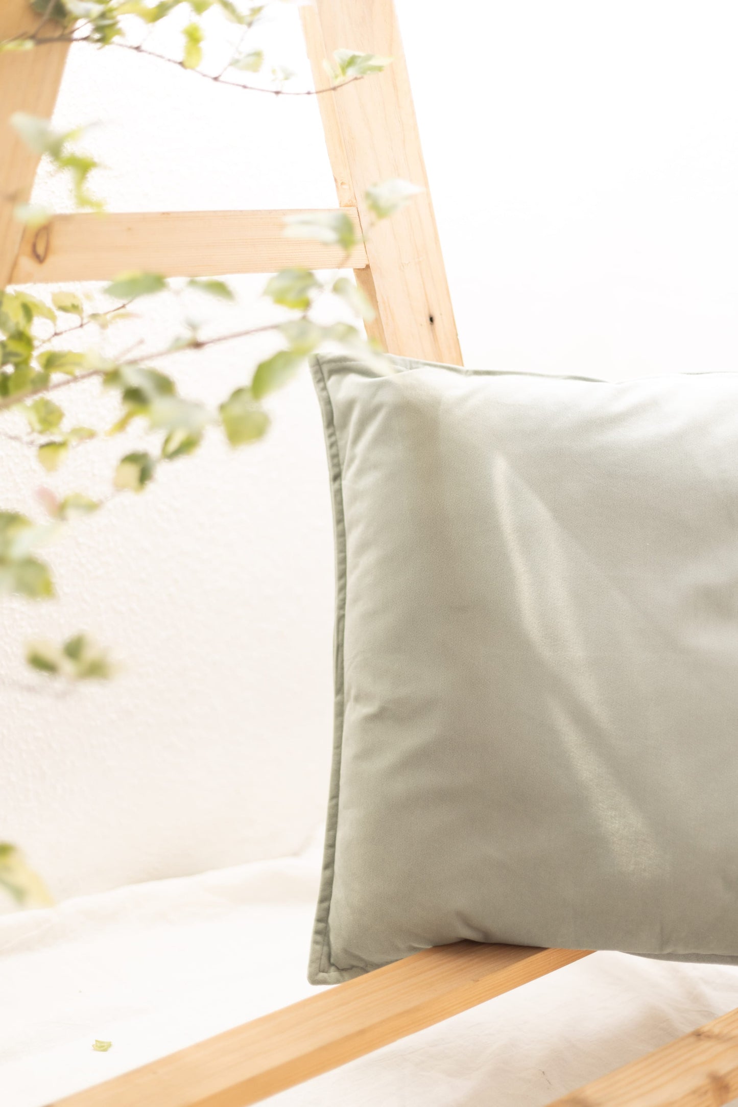 Velvet Cushion