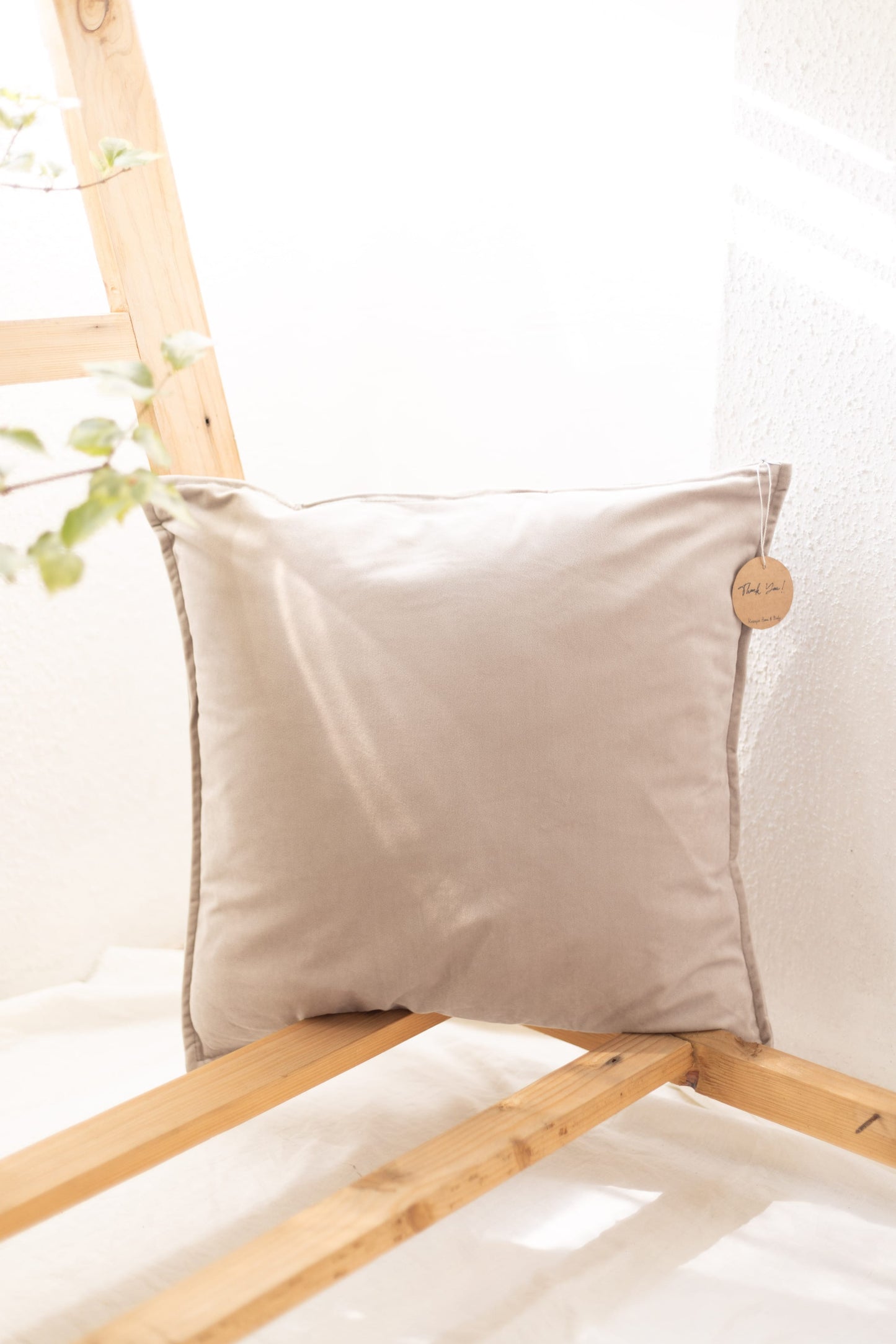 Velvet Cushion