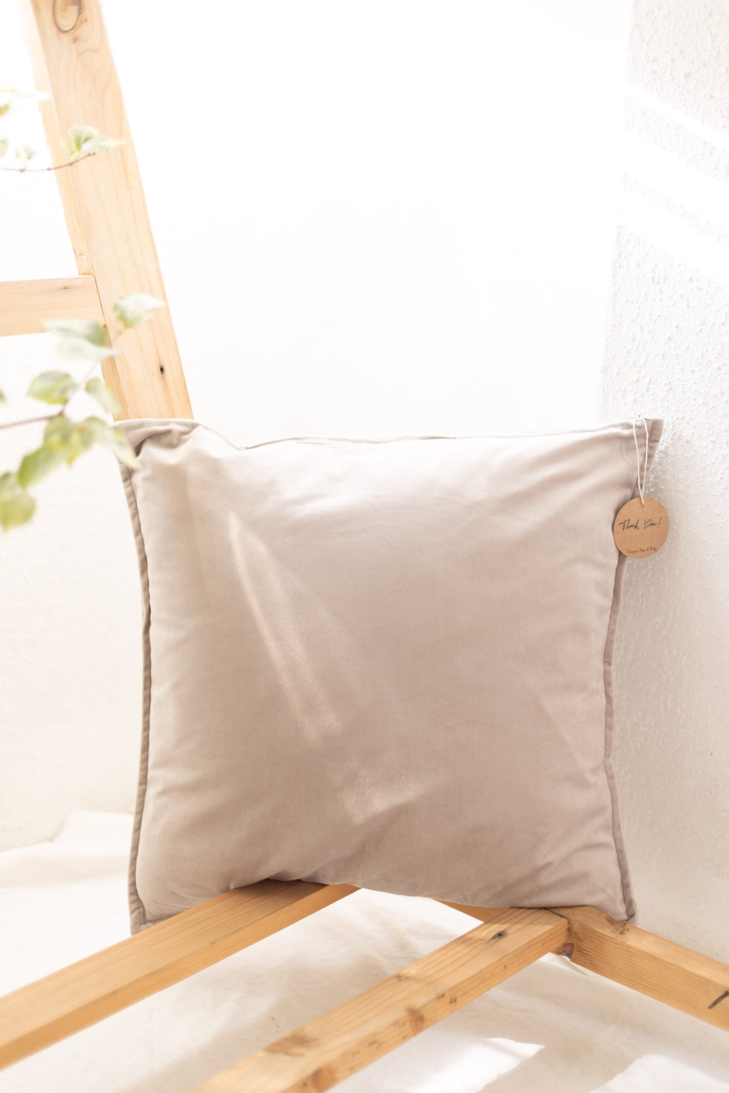 Velvet Cushion