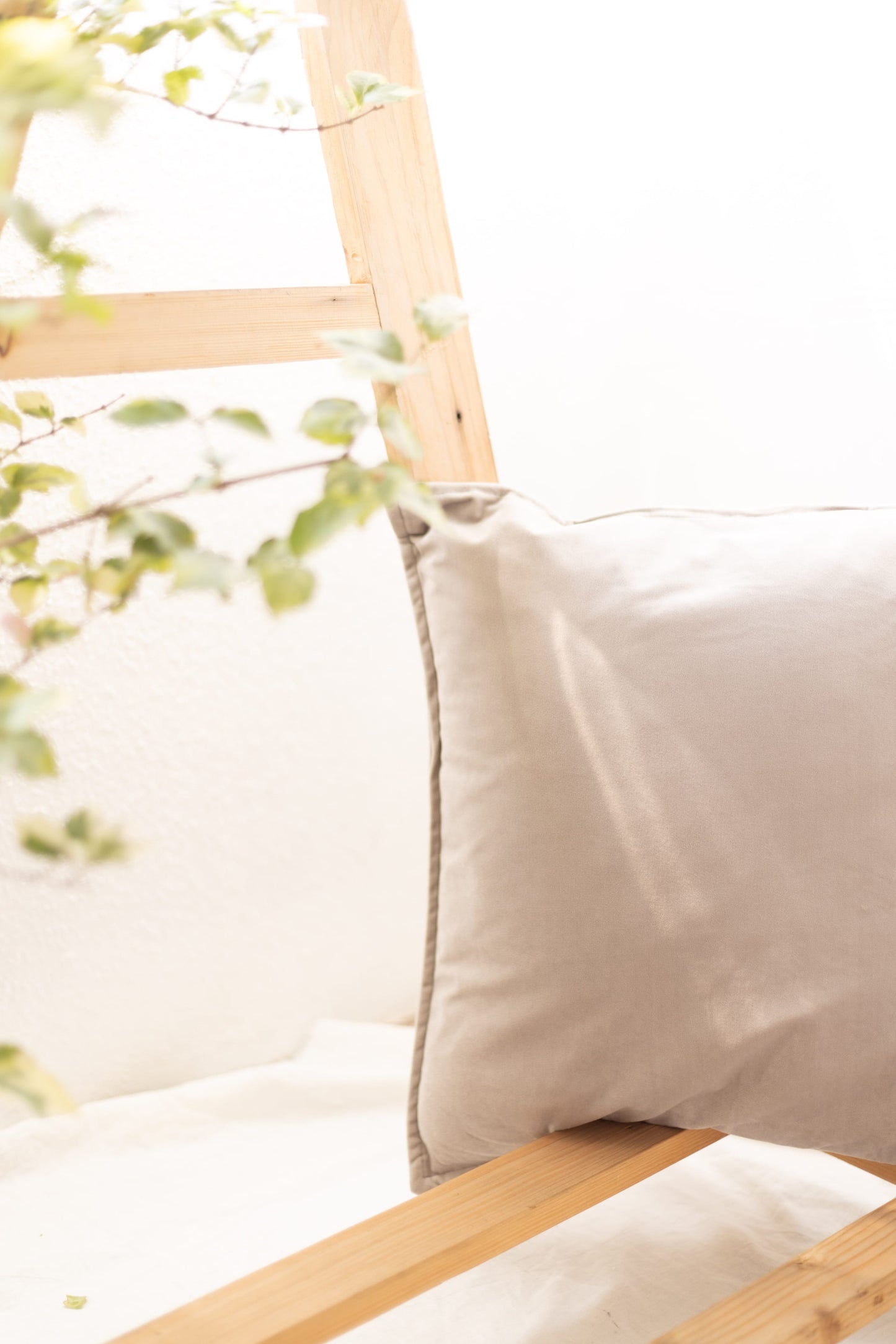 Velvet Cushion