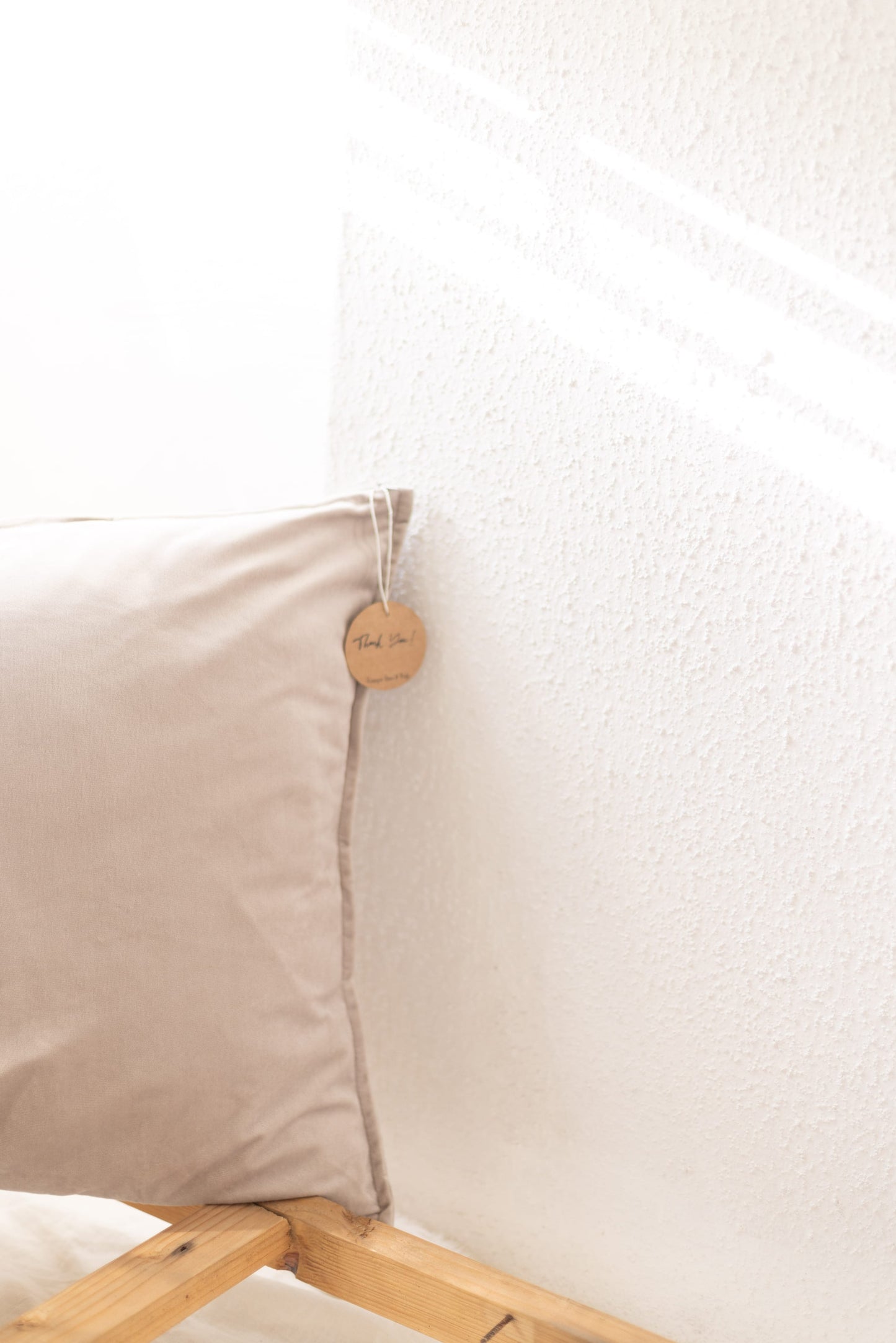 Velvet Cushion