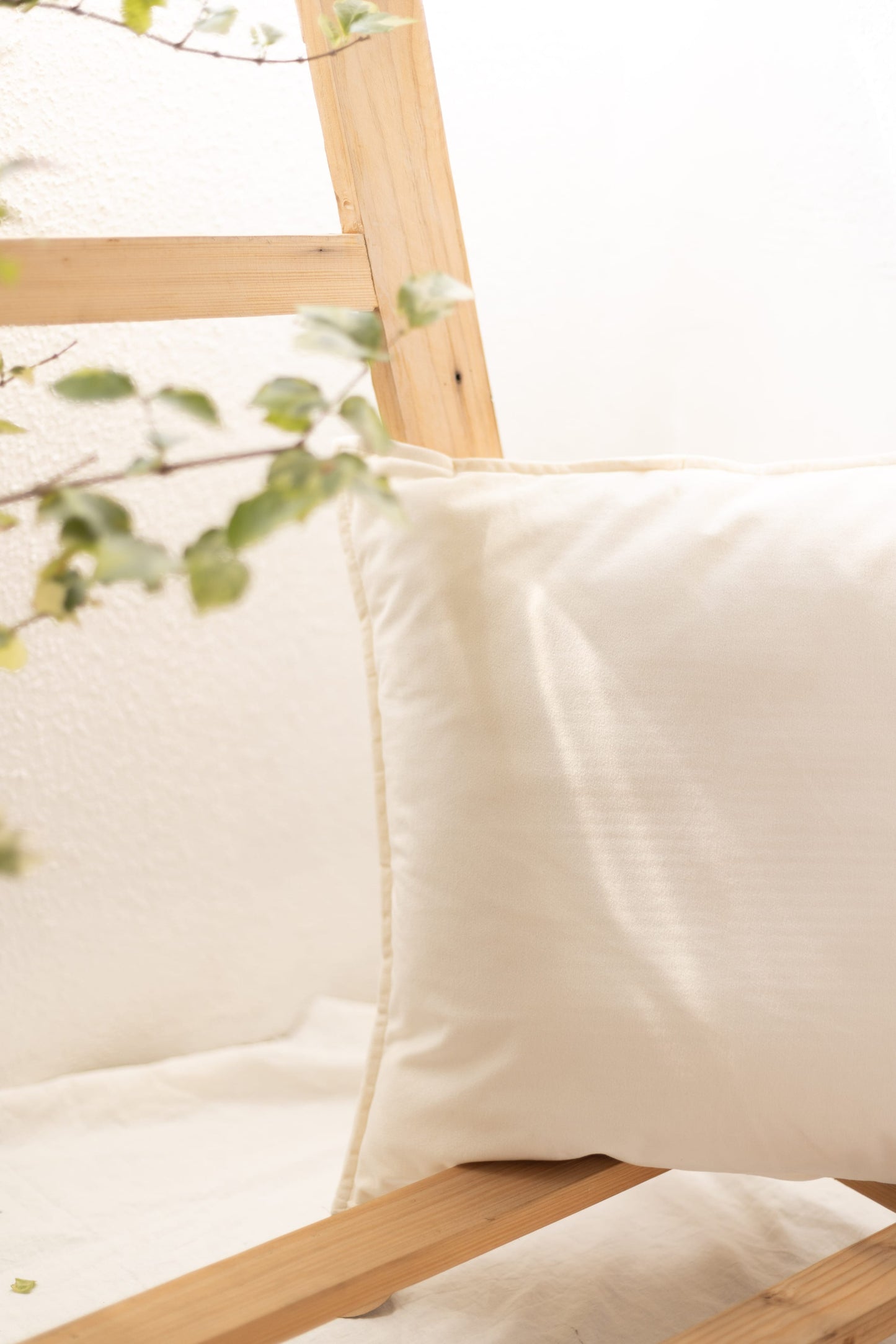 Velvet Cushion