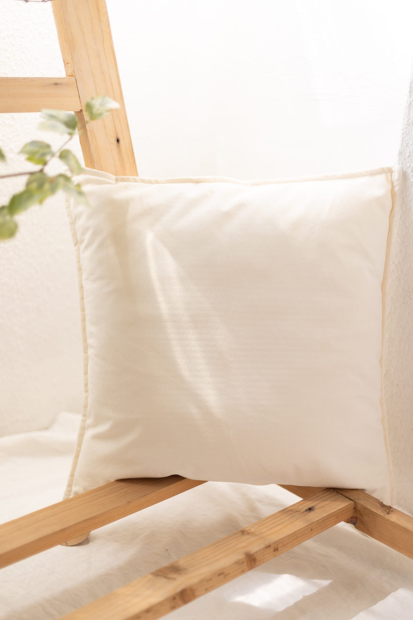Velvet Cushion