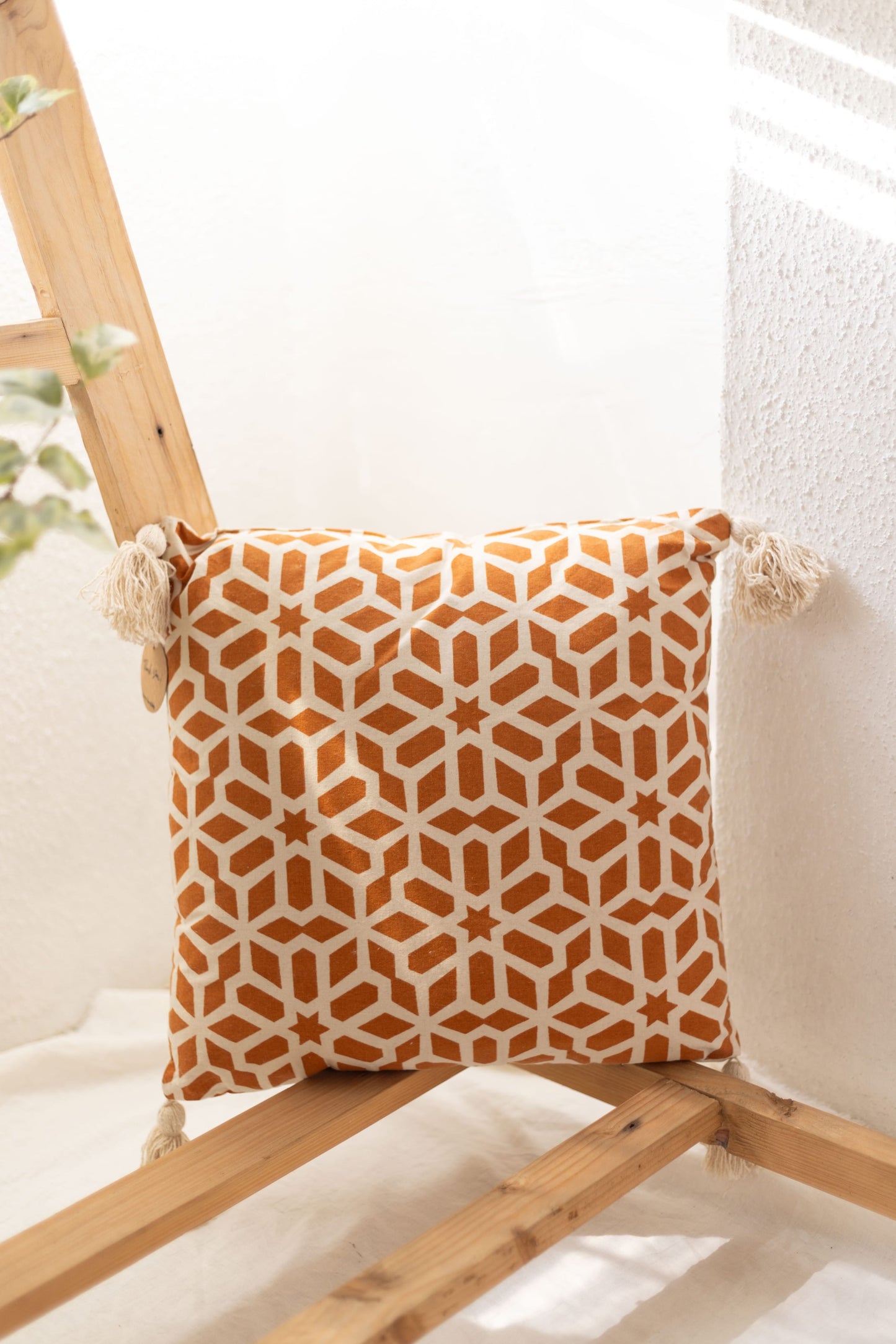 Filled Cushion