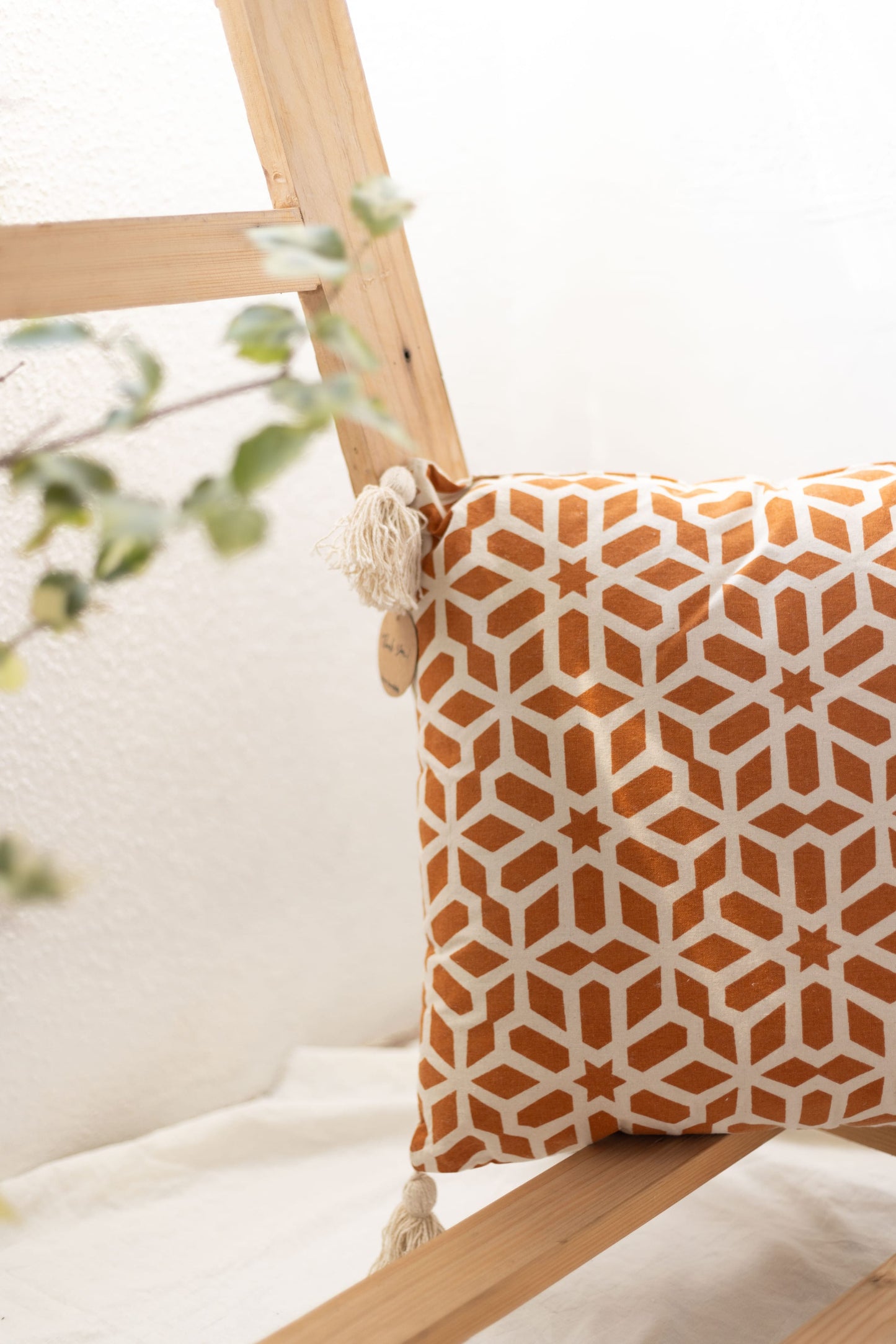 Filled Cushion