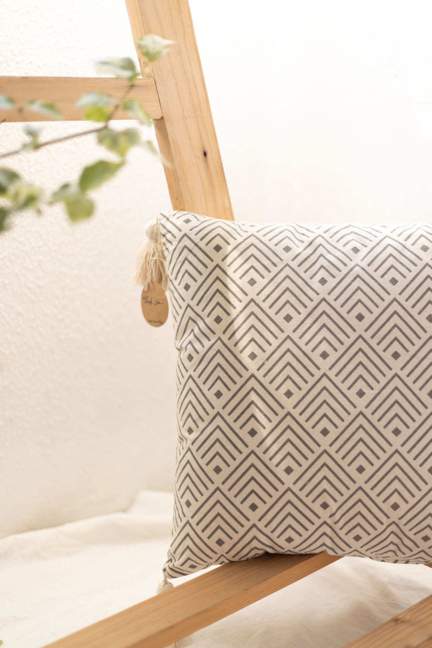 Filled Cushion