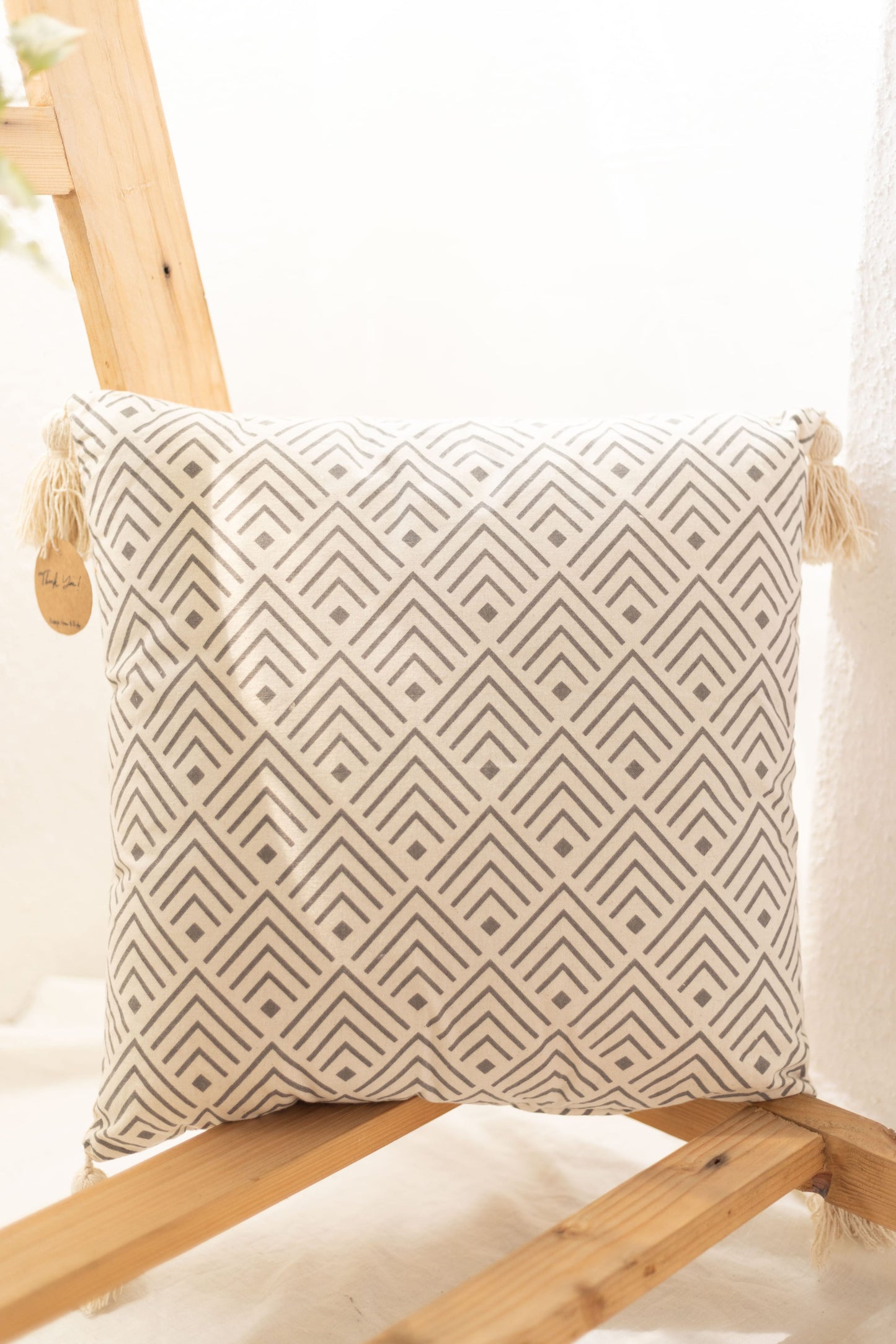Filled Cushion