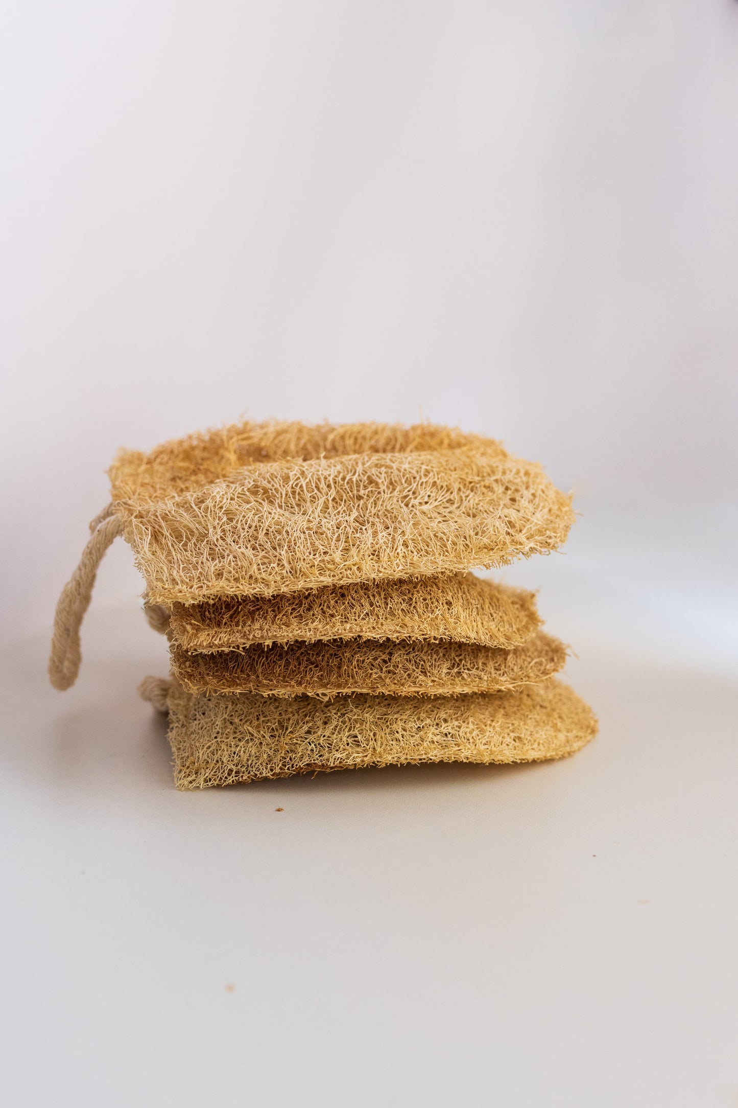 Sponge