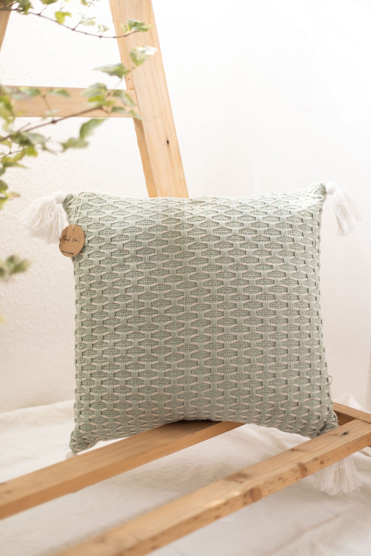 Filled Cushion