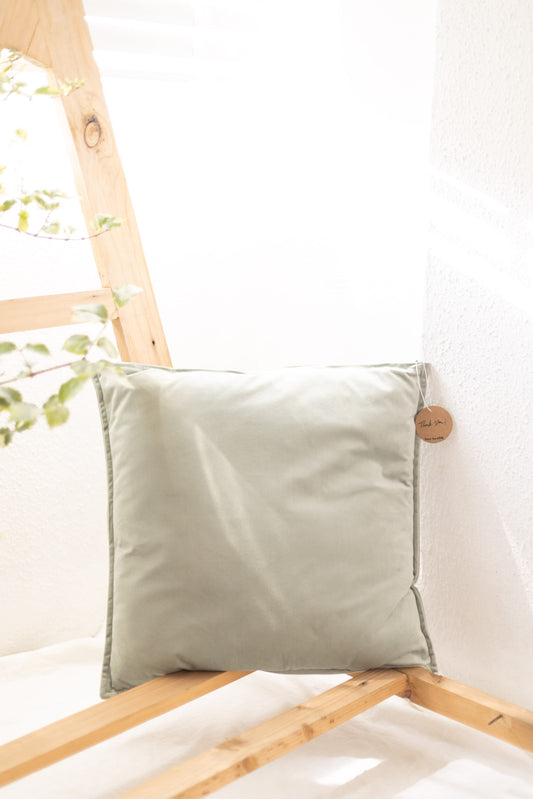 Velvet Cushion
