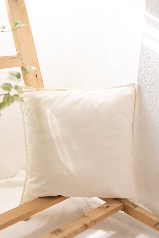 Velvet Cushion