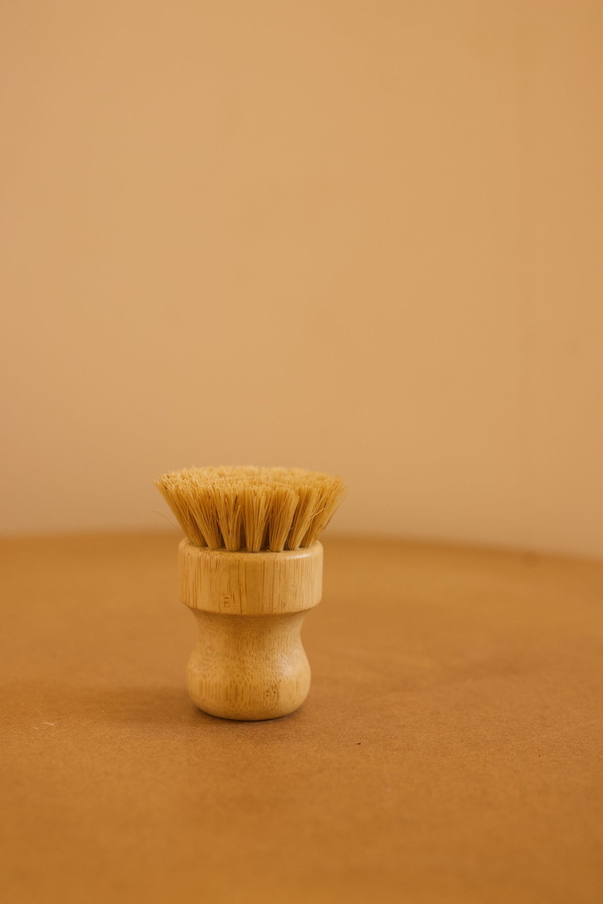 Bamboo Palm Brush